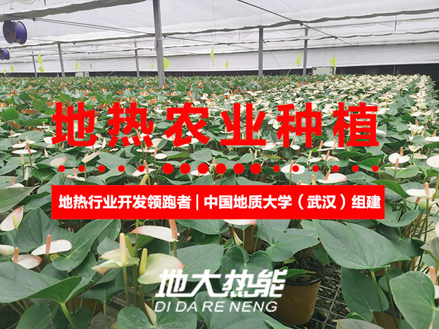 濟(jì)南：“地?zé)崮?農(nóng)業(yè)”產(chǎn)業(yè)融合，讓地?zé)崮苷嬲盁帷逼饋?lái)-地大熱能